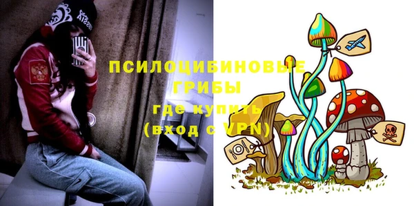 MESCALINE Белокуриха