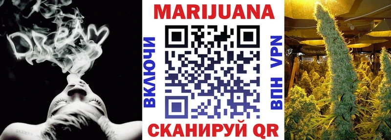 Бошки марихуана MAZAR  где найти   гидра маркетплейс  Светогорск 